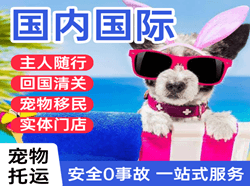 重庆空运代理国际宠物托运 【国